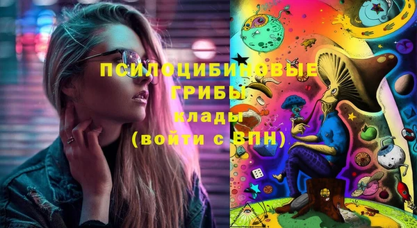 a pvp Аркадак