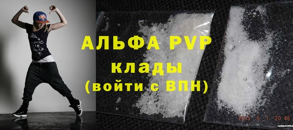 стаф Арсеньев