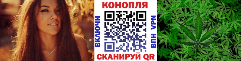 mega   Венёв  Канабис гибрид 